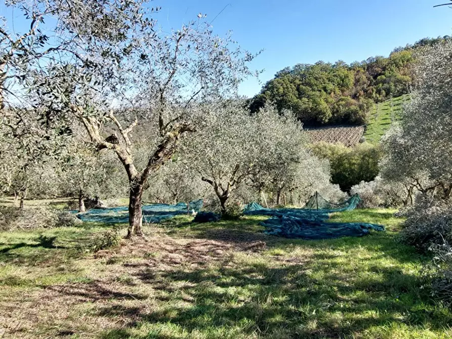 Immagine 32 di Casa indipendente in vendita  in contrada cardito a Ariano Irpino