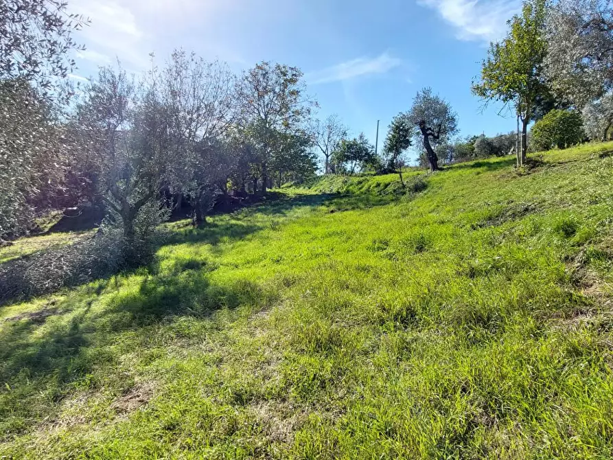 Immagine 33 di Casa indipendente in vendita  in contrada cardito a Ariano Irpino