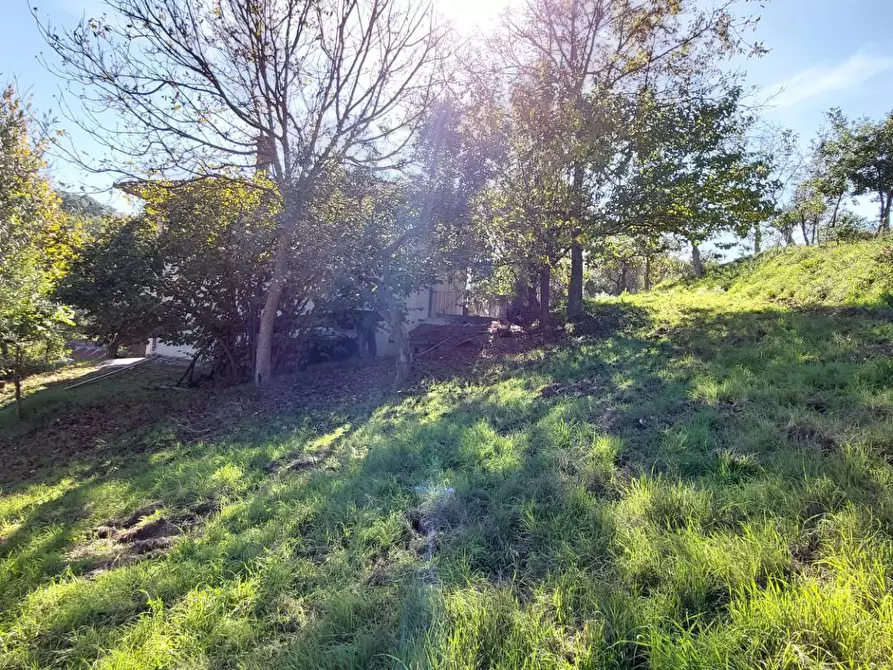 Immagine 34 di Casa indipendente in vendita  in contrada cardito a Ariano Irpino