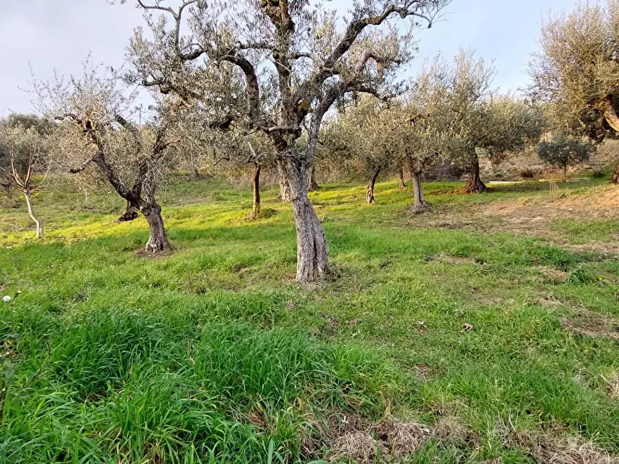 Immagine 32 di Casa indipendente in vendita  in contrada parzano a Ariano Irpino
