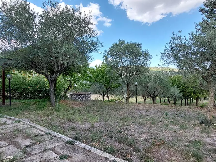 Immagine 18 di Casa indipendente in vendita  in contrada parzano a Ariano Irpino