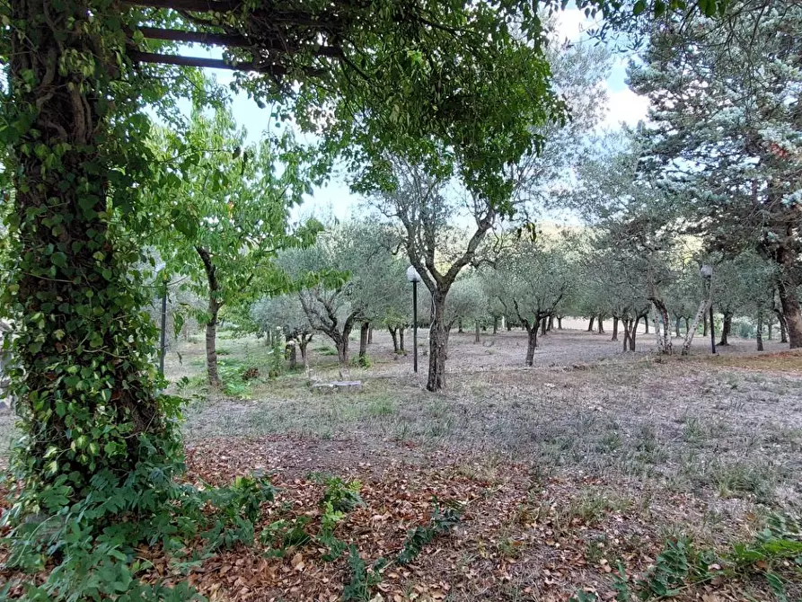 Immagine 20 di Casa indipendente in vendita  in contrada parzano a Ariano Irpino