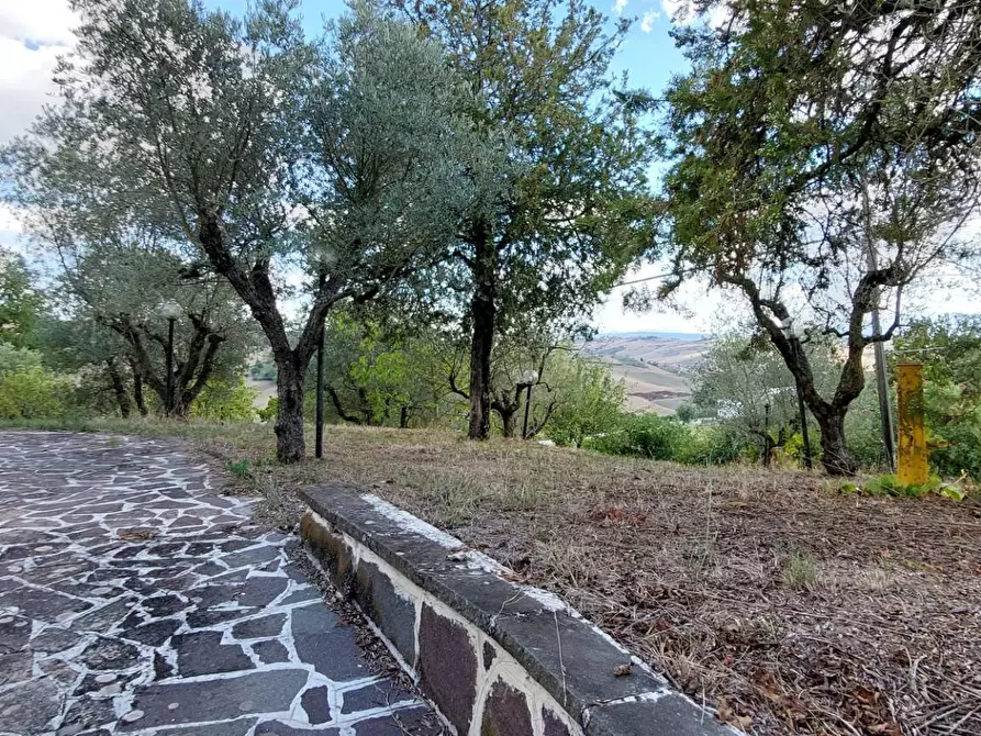 Immagine 21 di Casa indipendente in vendita  in contrada parzano a Ariano Irpino