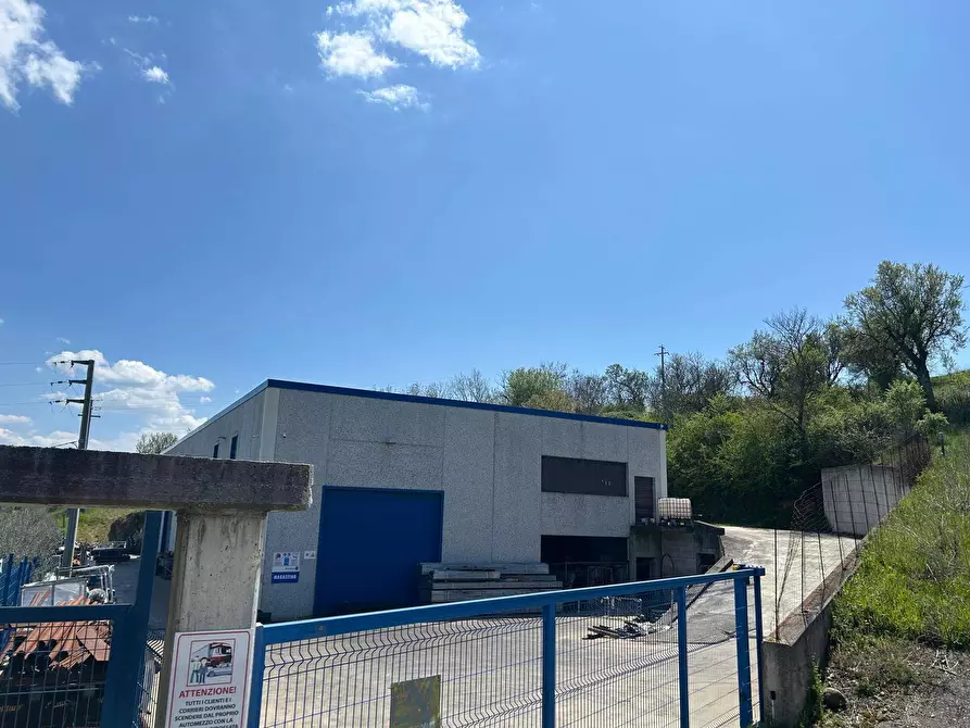 Immagine 7 di Magazzino in vendita  in contrada torreamando a Ariano Irpino