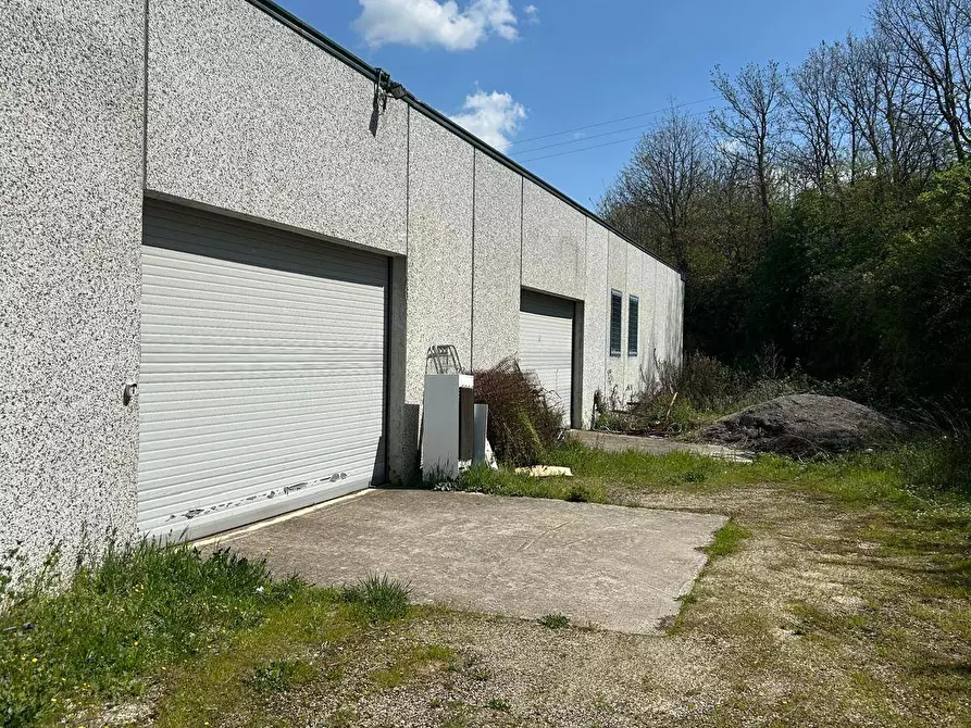 Immagine 6 di Magazzino in vendita  in contrada torreamando a Ariano Irpino