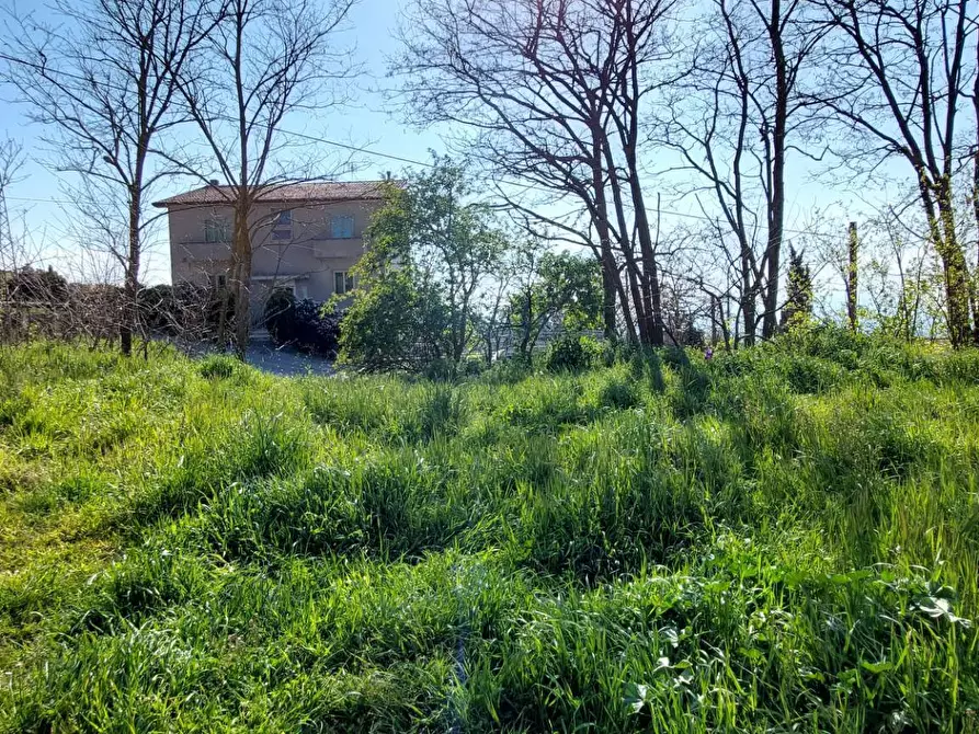 Immagine 2 di Terreno residenziale in vendita  in contrada cesine a Ariano Irpino
