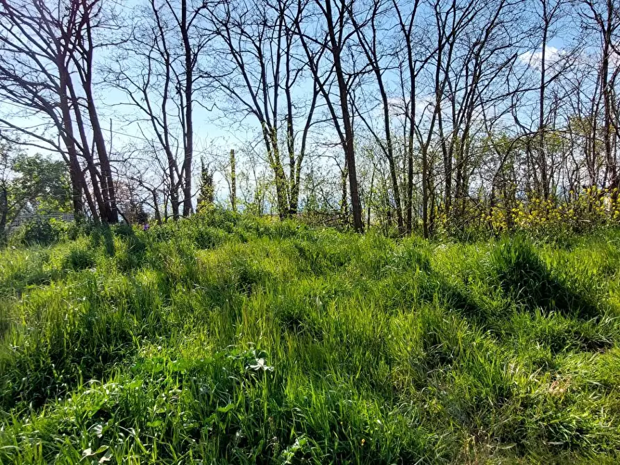 Immagine 3 di Terreno residenziale in vendita  in contrada cesine a Ariano Irpino