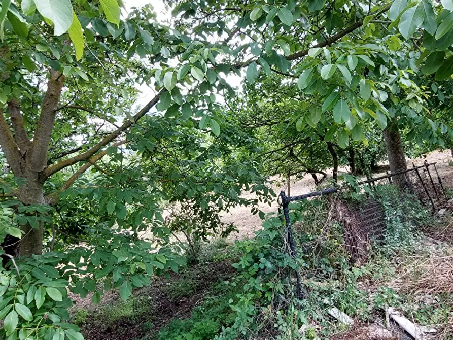 Immagine 22 di Casa semindipendente in affitto  in contrada ponnola a Ariano Irpino