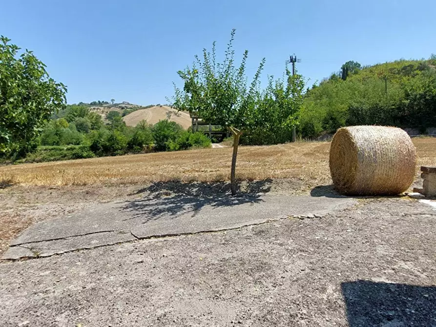 Immagine 35 di Casa indipendente in vendita  in contrada gaudiciello 51 a Ariano Irpino