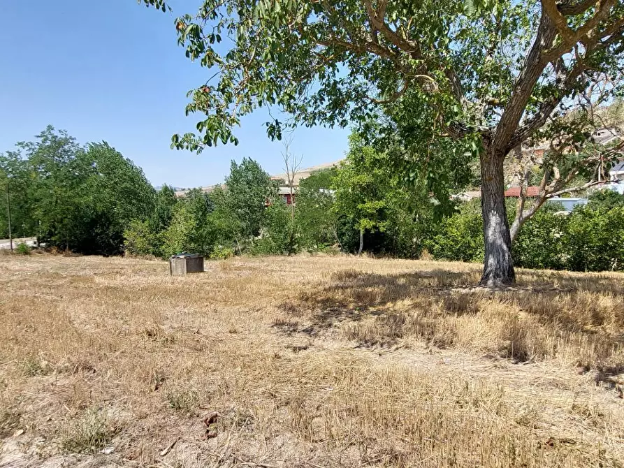 Immagine 37 di Casa indipendente in vendita  in contrada gaudiciello 51 a Ariano Irpino