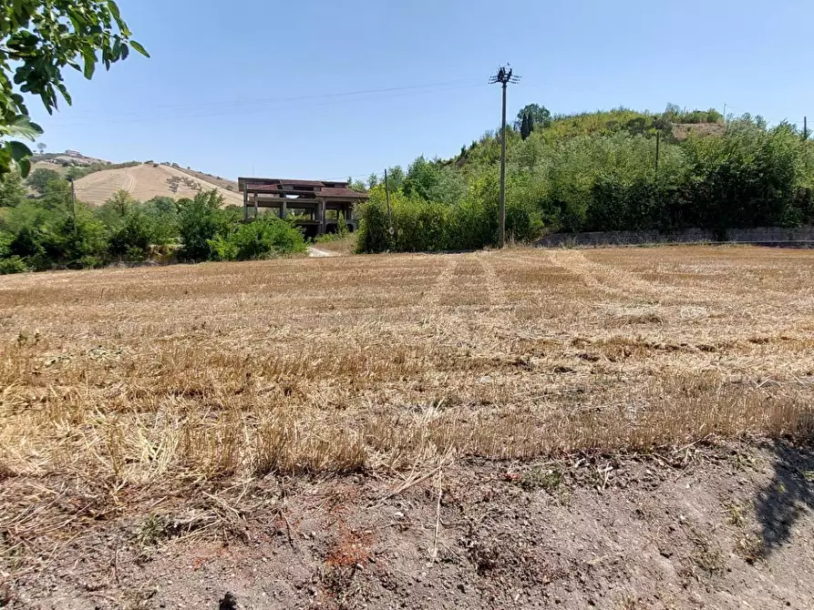 Immagine 38 di Casa indipendente in vendita  in contrada gaudiciello 51 a Ariano Irpino