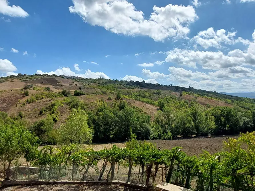 Immagine 25 di Casa indipendente in vendita  in contrada creta a Ariano Irpino