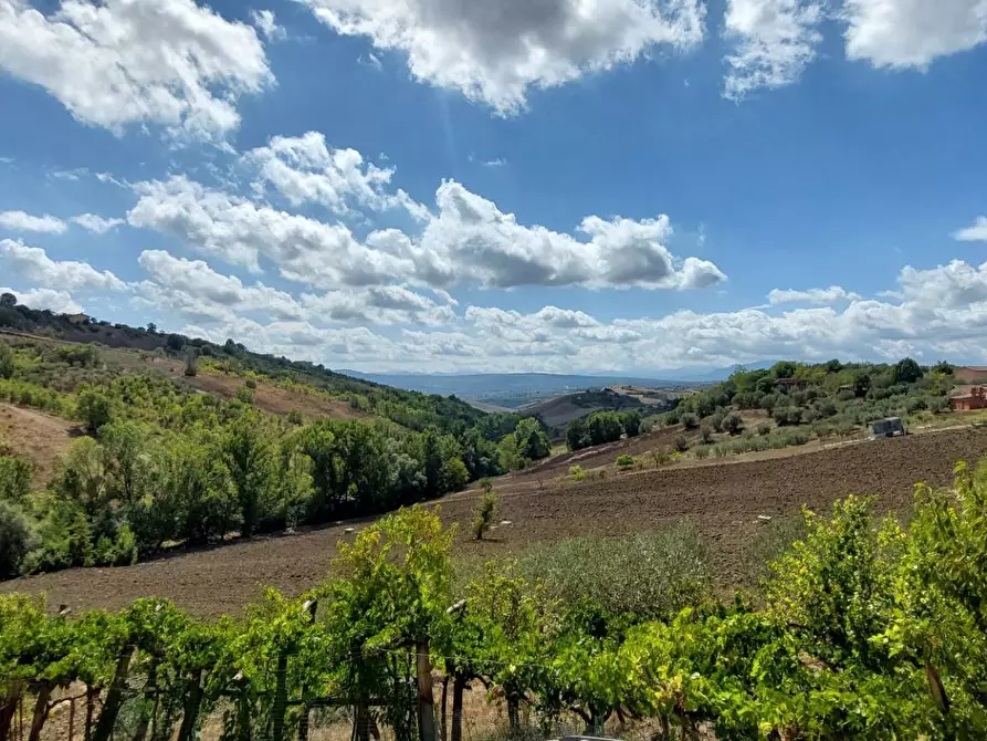 Immagine 26 di Casa indipendente in vendita  in contrada creta a Ariano Irpino