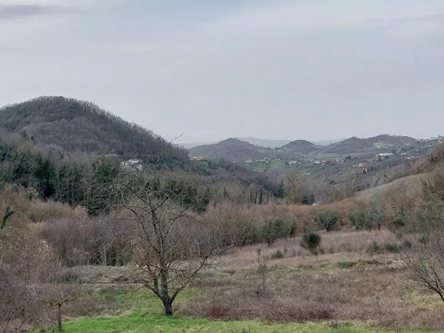Immagine 23 di Casa indipendente in vendita  in contrada carpiniello 6 a Ariano Irpino