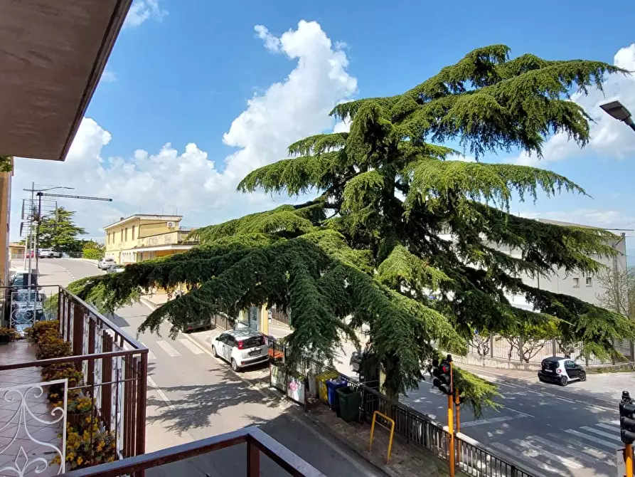 Immagine 33 di Agriturismo in vendita  in corso vittorio emanuele a Ariano Irpino