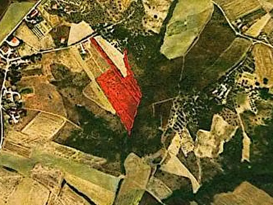 Immagine 1 di Terreno agricolo in vendita  in contrada san liberatore a Ariano Irpino