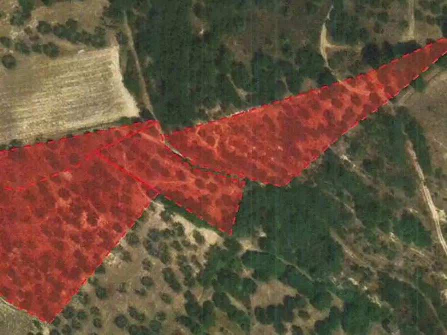 Immagine 2 di Terreno agricolo in vendita  in contrada san liberatore a Ariano Irpino