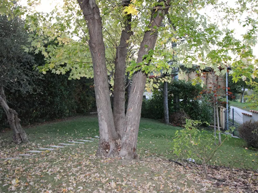 Immagine 29 di Villa in vendita  in via ugo foscolo a Appignano Del Tronto