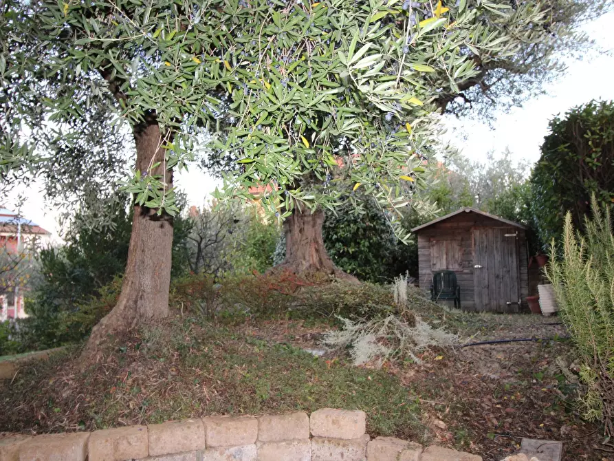 Immagine 35 di Villa in vendita  in via ugo foscolo a Appignano Del Tronto