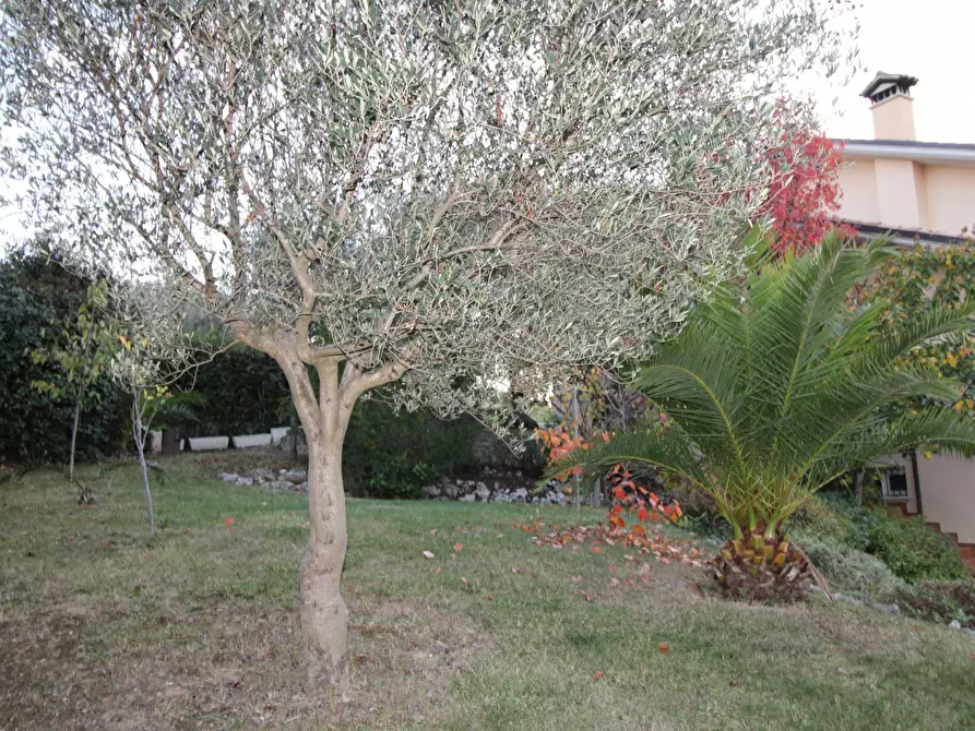 Immagine 36 di Villa in vendita  in via ugo foscolo a Appignano Del Tronto