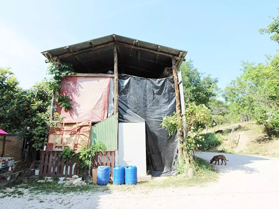 Immagine 5 di Casa indipendente in vendita  in contrada lava 236 a Offida