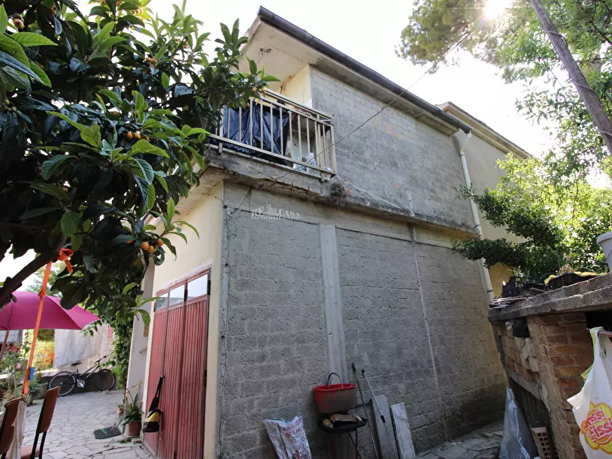 Immagine 4 di Casa indipendente in vendita  in contrada lava 236 a Offida