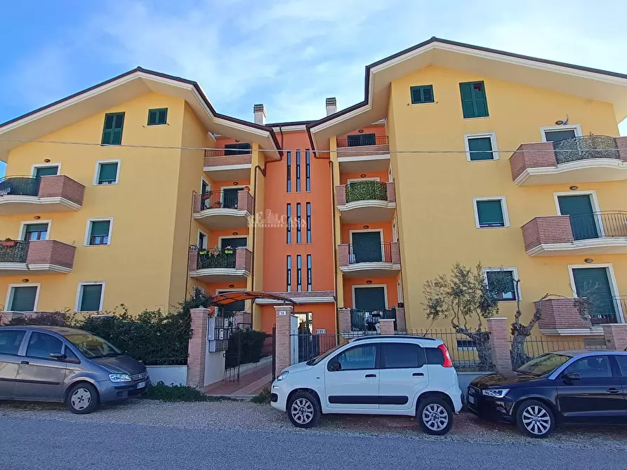 Immagine 19 di Cantina in vendita  in contrada sant'angelo 55 a Ancarano