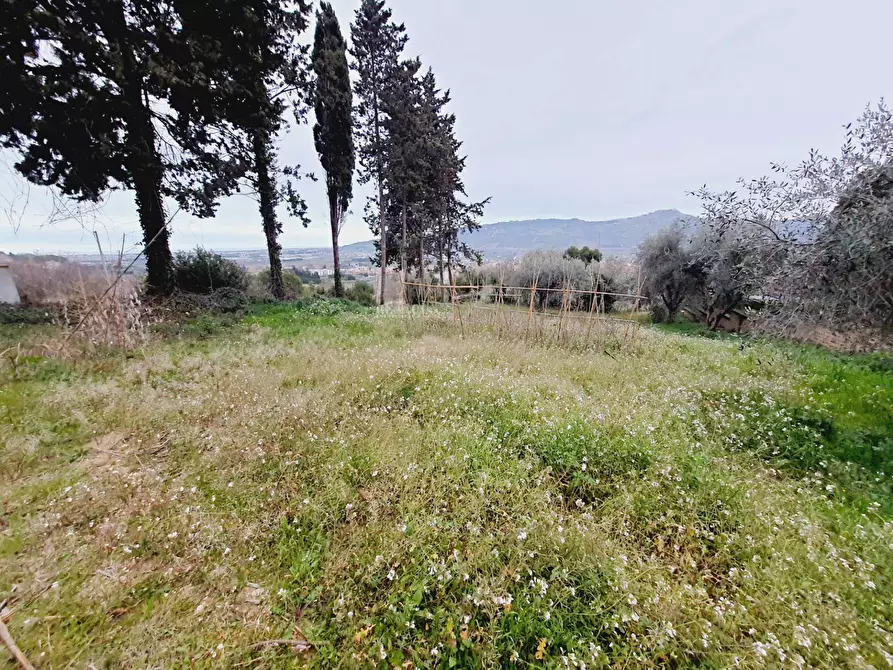 Immagine 2 di Terreno residenziale in vendita  in VIA 86A STRADA 3 a Acquaviva Picena