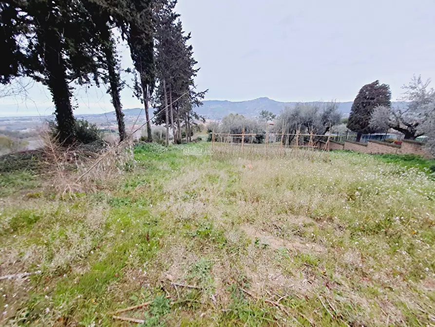 Immagine 3 di Terreno residenziale in vendita  in VIA 86A STRADA 3 a Acquaviva Picena