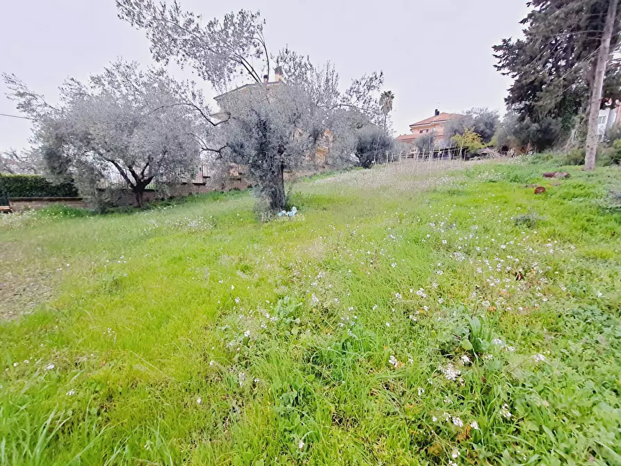 Immagine 4 di Terreno residenziale in vendita  in VIA 86A STRADA 3 a Acquaviva Picena