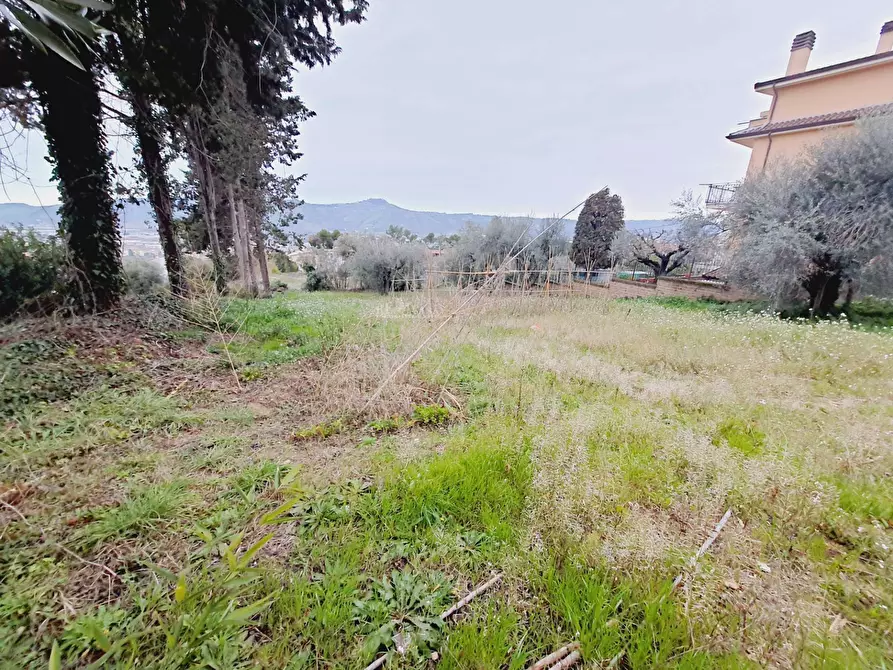 Immagine 5 di Terreno residenziale in vendita  in VIA 86A STRADA 3 a Acquaviva Picena