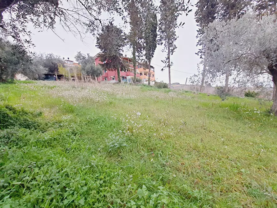 Immagine 6 di Terreno residenziale in vendita  in VIA 86A STRADA 3 a Acquaviva Picena