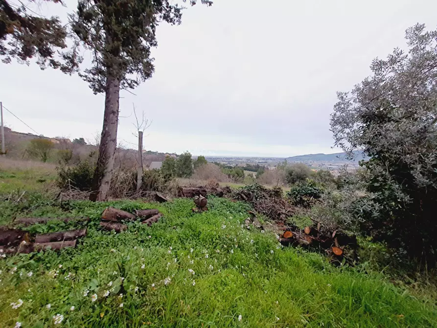 Immagine 7 di Terreno residenziale in vendita  in VIA 86A STRADA 3 a Acquaviva Picena