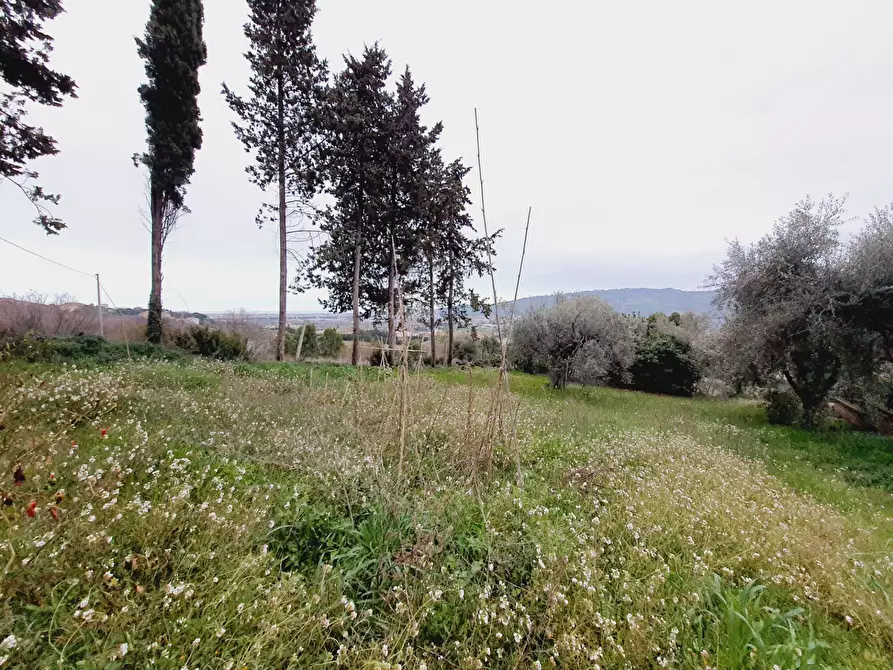 Immagine 8 di Terreno residenziale in vendita  in VIA 86A STRADA 3 a Acquaviva Picena