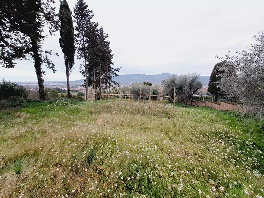 Immagine 9 di Terreno residenziale in vendita  in VIA 86A STRADA 3 a Acquaviva Picena