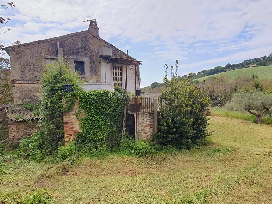 Immagine 6 di Rustico / casale in vendita  in Contrada MAREZI a Massignano