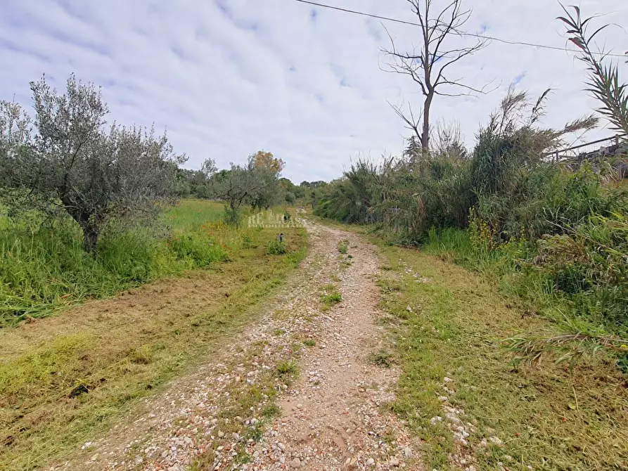 Immagine 9 di Rustico / casale in vendita  in Contrada MAREZI a Massignano