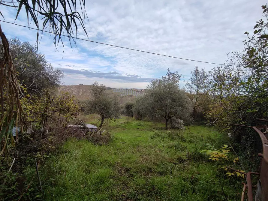 terreno agricolo in vendita ad Ascoli Piceno in zona Campolungo