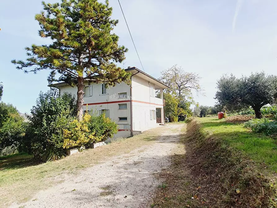 Immagine 3 di Casa indipendente in vendita  in via roma a Castel Di Lama