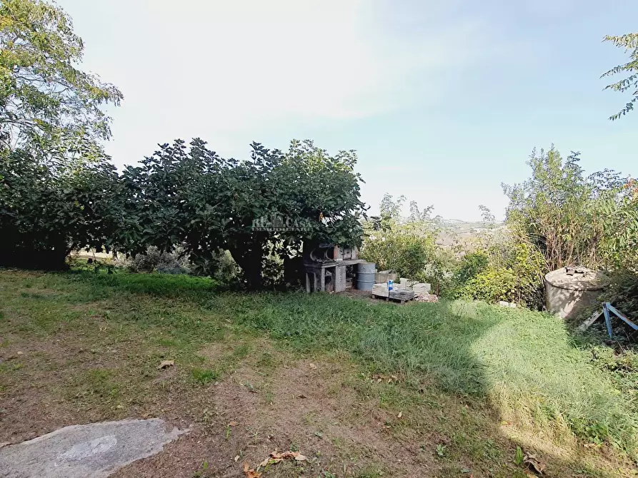 Immagine 4 di Casa indipendente in vendita  in via roma a Castel Di Lama