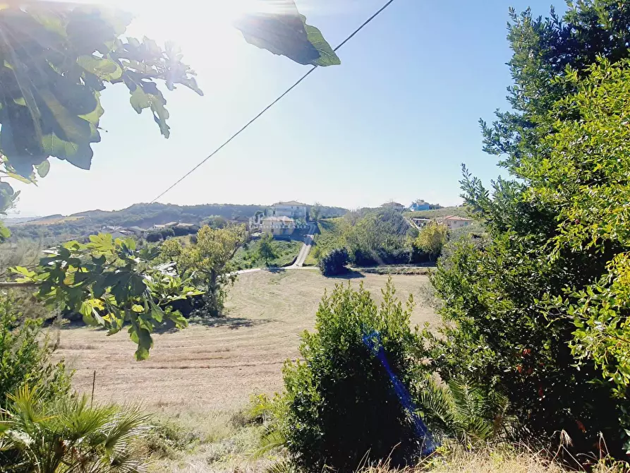 Immagine 11 di Rustico / casale in vendita  in contrada san martino a Tortoreto