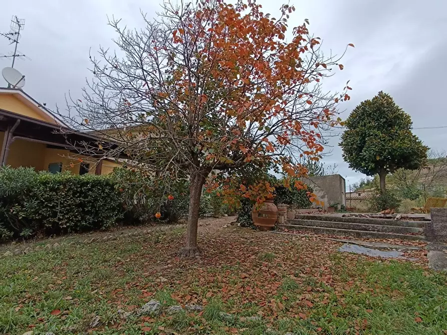 Immagine 1 di Casa indipendente in vendita  in roma a Acquaviva Picena