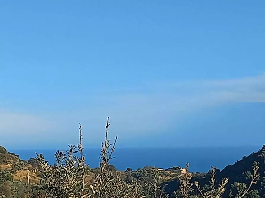 Immagine 1 di Terreno agricolo in vendita  in Via Barbolano a Altidona