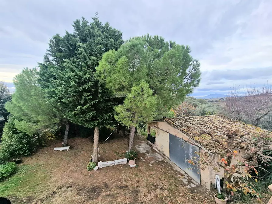 Immagine 11 di Casa indipendente in vendita  in Contrada San Giovanni 4 a Monsampolo Del Tronto