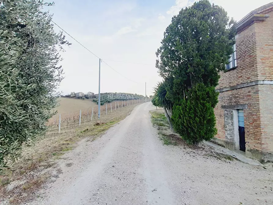 Immagine 9 di Terreno agricolo in vendita  in CONTRADA FOROLA a Acquaviva Picena