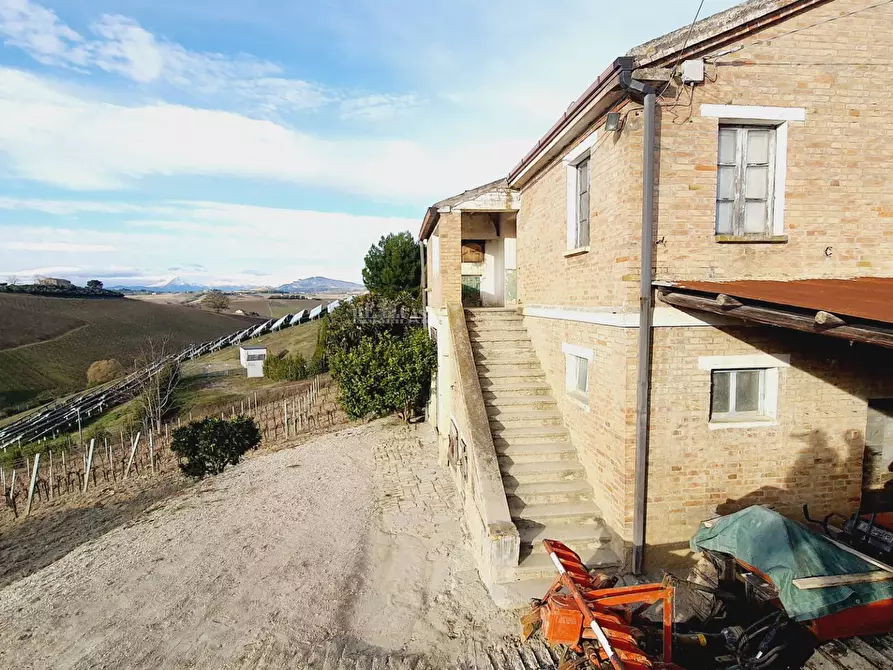 Immagine 11 di Terreno agricolo in vendita  in CONTRADA FOROLA a Acquaviva Picena