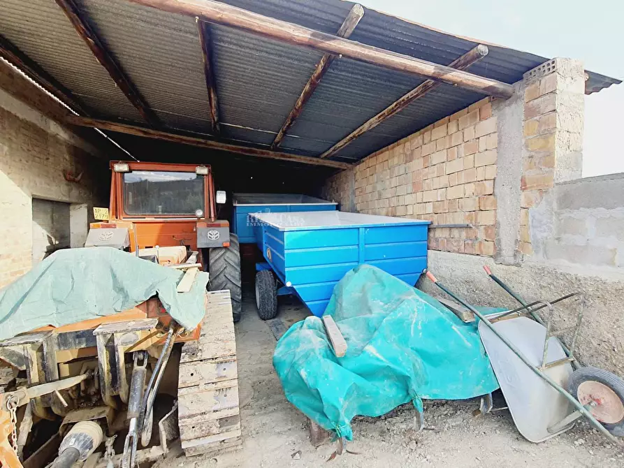 Immagine 12 di Terreno agricolo in vendita  in CONTRADA FOROLA a Acquaviva Picena