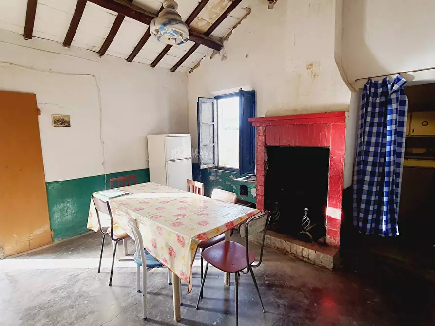 Immagine 14 di Terreno agricolo in vendita  in CONTRADA FOROLA a Acquaviva Picena