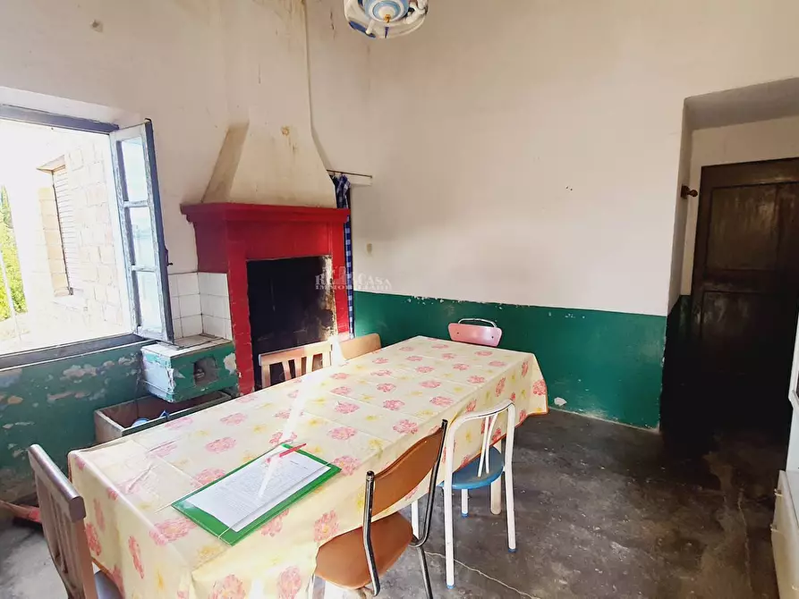 Immagine 15 di Terreno agricolo in vendita  in CONTRADA FOROLA a Acquaviva Picena