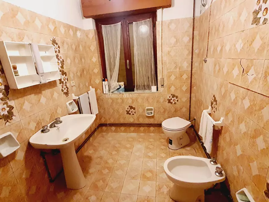 Immagine 20 di Terreno agricolo in vendita  in CONTRADA FOROLA a Acquaviva Picena